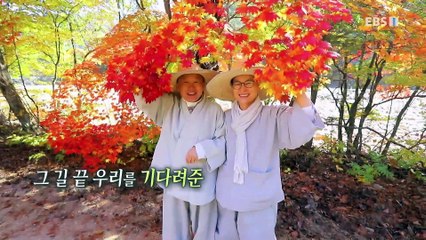 한국기행 - Korea travel_우리는 여름을 살기로 했다 1부- 다시 여름, 가거도_#001