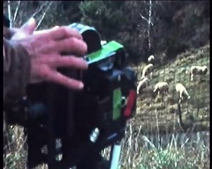 DIFFERENTLY, MOLUSSIA (2012) Trailer - The Light & Sound Machine