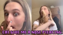 'Grumpy Cat Gives Owner Free Nose Piercing *Ouch*'