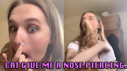 'Grumpy Cat Gives Owner Free Nose Piercing *Ouch*'