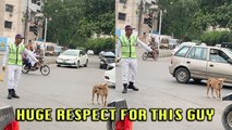 'Kindhearted Traffic Police Officer Helps Dog Safely Cross a Busy Street'