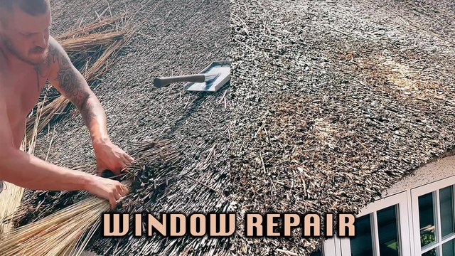 'UK-Based Thatcher Fixing Squirrel Damage on Thatched Roof'