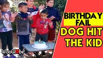 'Epic Cake Fail - Naughty Dog Ruins Twins' Birthday Party '