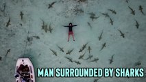 'Flawless Drone Cam Footage of Man Surrounded by Sharks'