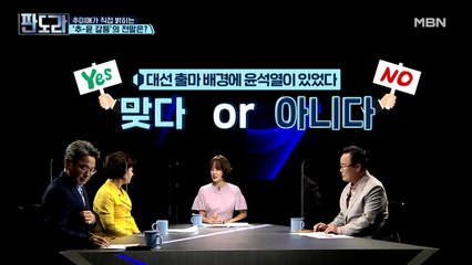 추미애, 대선 출마 배경에 윤석열 있었다?