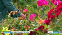 Seine-Maritime : les jardins suspendus du Havre invitent au voyage