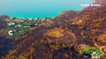 Bodrum ve Milas'tan yürek yakan görüntü! Tamamen kül oldu