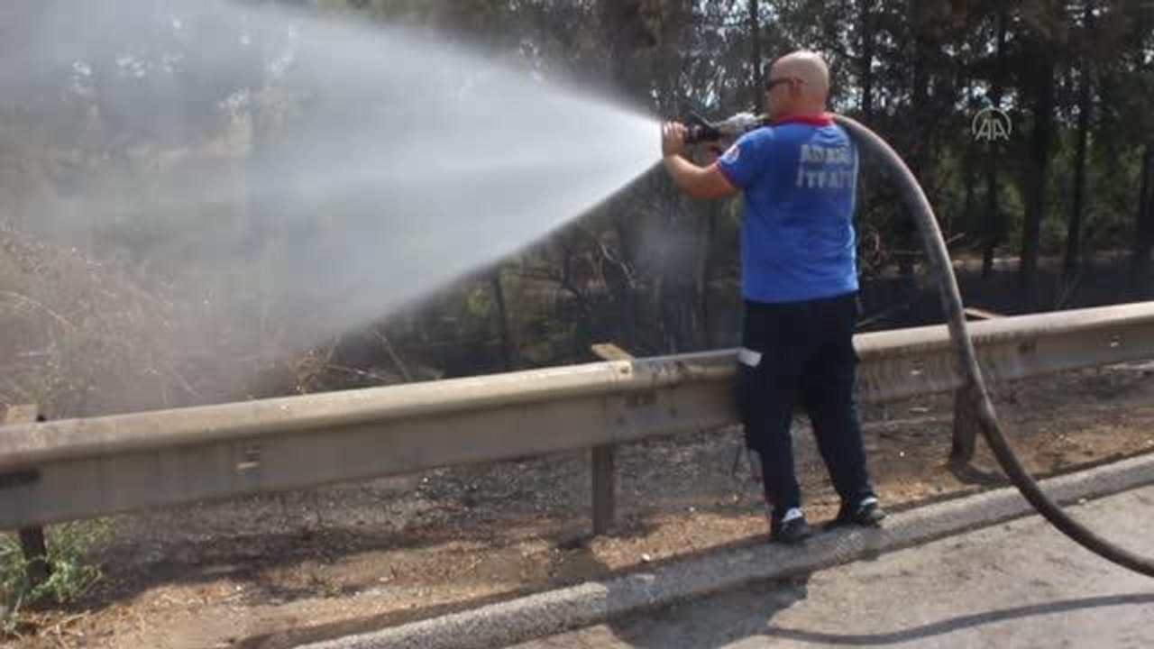 Otoyol kenarındaki ağaçlık alanda çıkan yangın söndürüldü