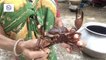 Kakra Ranna Recipe Bangla কচু দিয়ে সুস্বাদু কাঁকড়া রান্না কাঁকড়া পরিষ্কার করার পদ্ধতি সহ Crab Curry