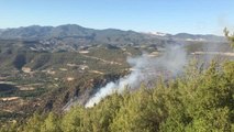 Son dakika haberleri: Bozdoğan ilçesinde orman yangını çıktı
