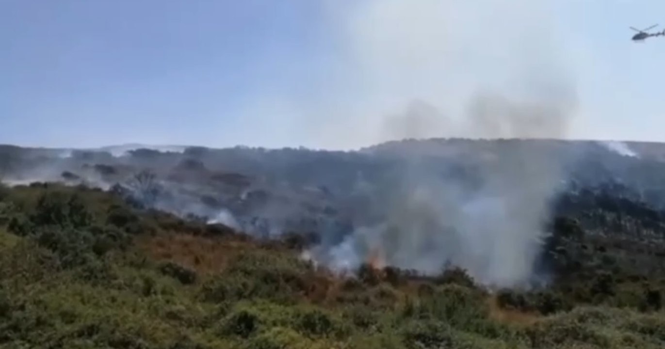 Trinità d'Agultu e Vignola (SS) - Incendi di vegetazione in Gallura (09.08.21)