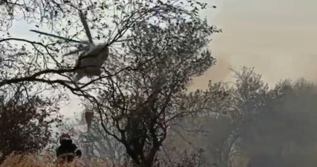 Meldola (FC) - Incendi boschivi, in azione Vigili del Fuoco (09.08.21)