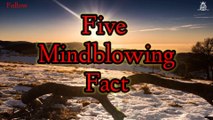 FIVE MIND BLOWING FACT  ! DAILY LIFE FACTS ! MOTIVATION  FACTS  ! #FACTS