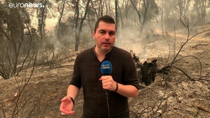 Miles de griegos huyen de sus casas por los incendios