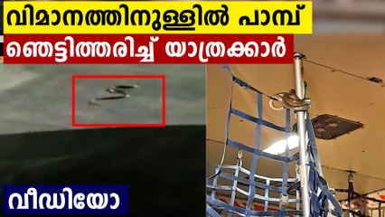 വിമാനത്തിനുള്ളില്‍ പാമ്പ്, ഞെട്ടിത്തരിച്ച് യാത്രക്കാർ..വീഡിയോ