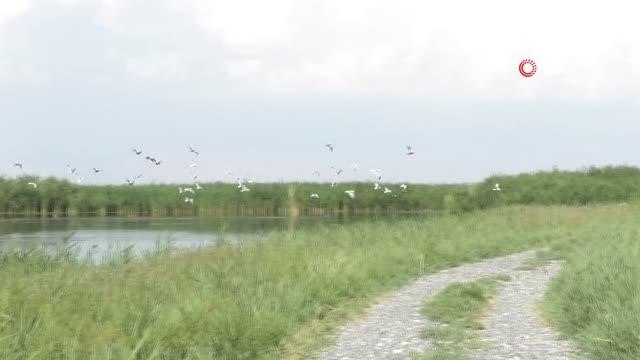 Ağrı Dağı Milli Parkı, doğal güzelliği ve hayvan çeşitliliğiyle dikkat çekiyor