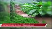 Rize'de etkili yağış ve heyelan; çay bahçesinde 7 kişi mahsur kaldı