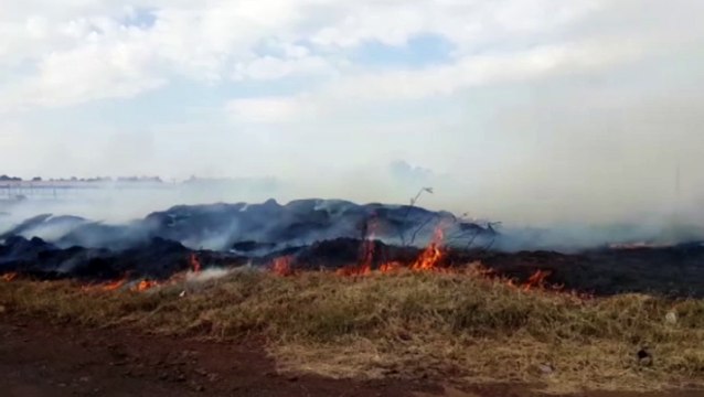 Bombeiros combatem incêndio ambiental às margens da rodovia BR-369