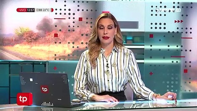 Veterinarios voluntarios rescatan animales en la zona de los incendios en Roboré