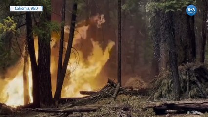 California Tarihinin En Büyük İkinci Yangını Sürüyor