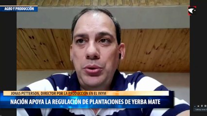 Nación apoya la regulación de plantaciones de yerba mate