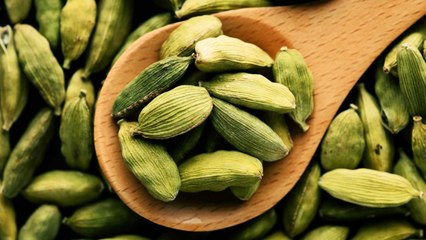 Discover Cardamom: The Queen of Spices and Its Amazing Uses 🌿