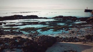 GoPro Shoot Of A Marina By The Coastline _ Video No 7 _ Drone Shots