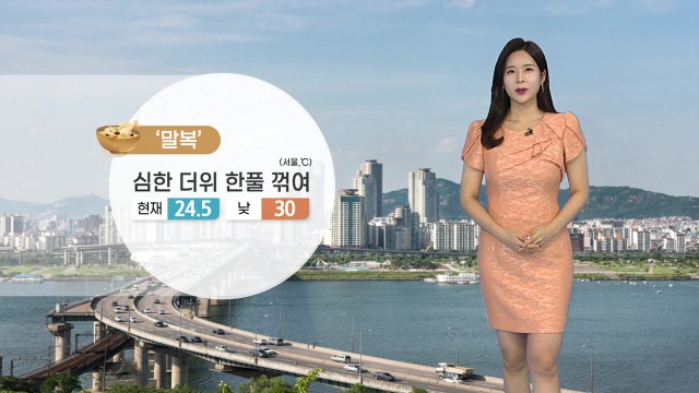 [날씨] '말복' 더위 꺾여...내륙 강한 소나기 / YTN