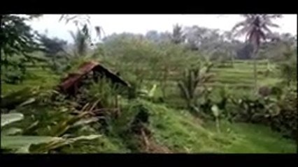 DETIK DETIK TERCIDUK MAU BERKEMBANG BIAK DI GUBUK_