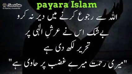 sache batein Golden words