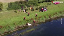 Atrapado en el barro: el dramático rescate de un grupo de bomberos a un caballo herido