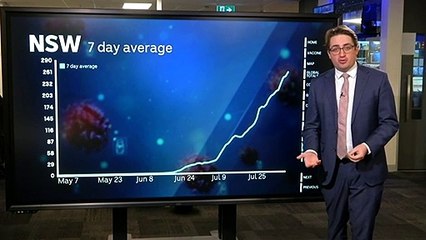 Analyst looks at NSW COVID cases and hospital numbers