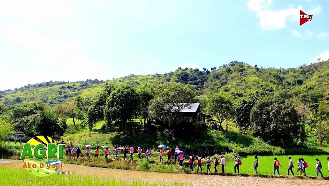 Coron Natural Farm
