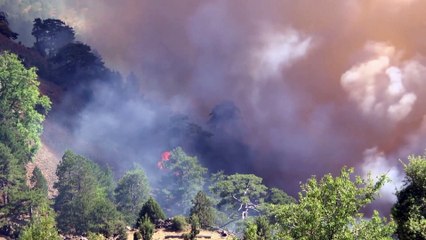 Incêndios "dramáticos" na Turquia, Itália e Bósnia