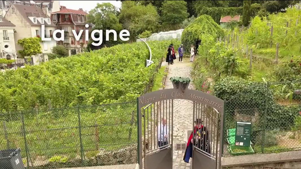 Terroir - Montmartre : le triporteur gravit la Butte !