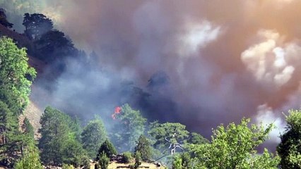 De Turquía a Bosnia e Italia, los incendios se ceban con el sur de Europa