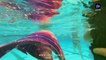 “ميرماجيك” مهرجان يستضيف أكبر تجمع لحوريات البحر في ولاية فيرجينيا الأمريكية