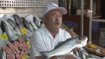 Balıkçılar Müsilaj sonrası yeni sezondan umutlu