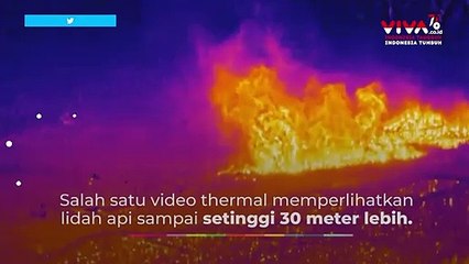 Kebakaran Hebat, Langit California Bagai Neraka