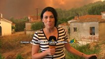 Εύβοια: Χιλιάδες στρέμματα έχουν μετατραπεί σε στάχτη