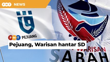 Tolak Muhyiddin- Pejuang, Warisan sah hantar surat akuan kepada Agong