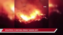 Cezayir'de 31 noktada orman yangını çıktı: 4 ölü, 3 yaralı