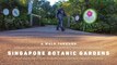 Singapore Botanic Gardens - Part 1 | The most visited Botanic Garden in the world