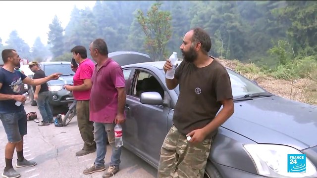 Incendie en Grèce : sur l'île d'Eubée, les pompiers toujours en lutte contre les flammes