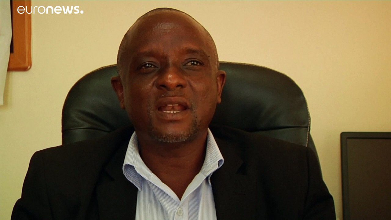 Tag des Löwen: Bedrohter „König der Tiere“