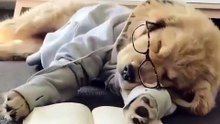 Comment allez-vous pendant vos études et aimeriez-vous dormir