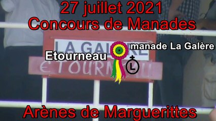 2021 07 27 Etourneau