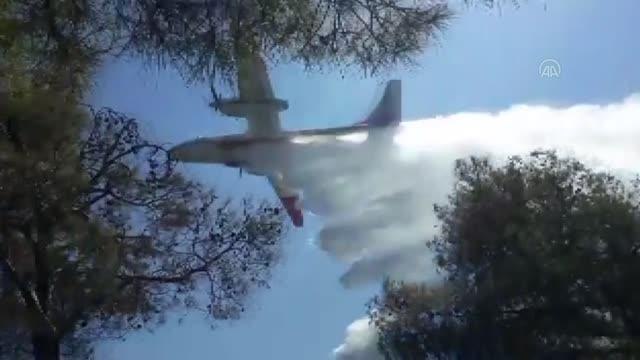 Seydikemer'de çıkan orman yangını kontrol altına alındı