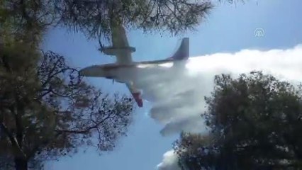 Seydikemer'de çıkan orman yangını kontrol altına alındı