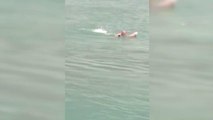 Son dakika haberleri: Baraj gölüne düşen köpeği kurtarmak isteyen bir kişi boğulma tehlikesi atlattı